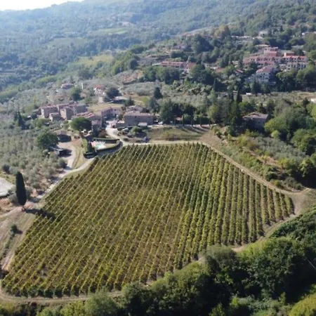 Fattoria L'ottavo *